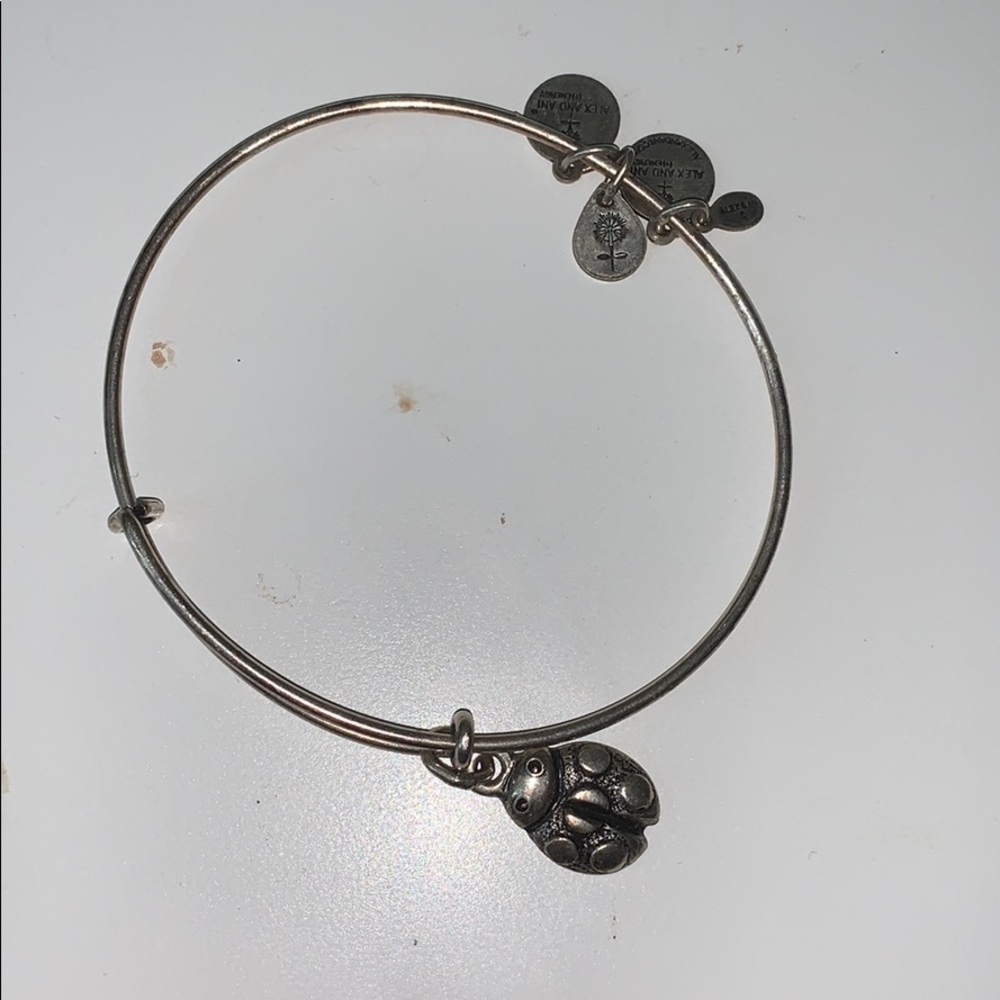 Alex and Ani Bracelet